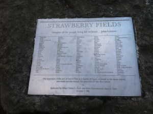 StrawberryFields2