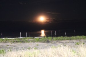 FullMoon