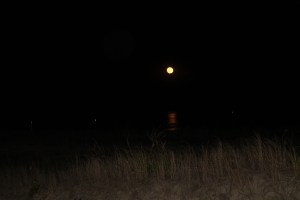 FullMoon2