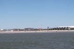 KiteFestival
