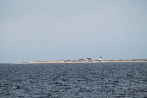 Cruise_LightHouse3