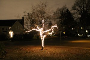 TreeLights 001