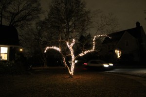 TreeLights 002