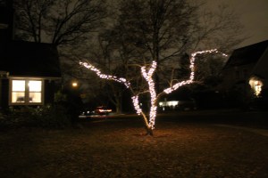 TreeLights 009