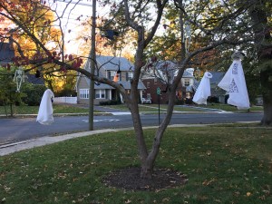 2015-10-30 17.12.04 HDR