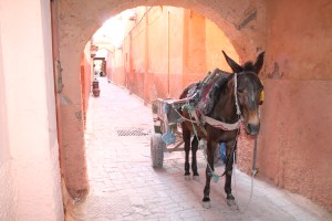Morocco 008